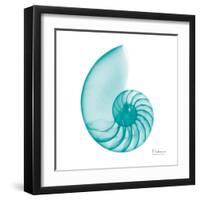 Turquoise Sea Shell-Albert Koetsier-Framed Art Print