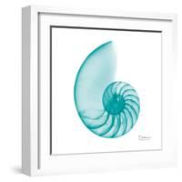 Turquoise Sea Shell-Albert Koetsier-Framed Art Print