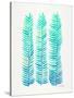 Turquoise Stems-Cat Coquillette-Stretched Canvas