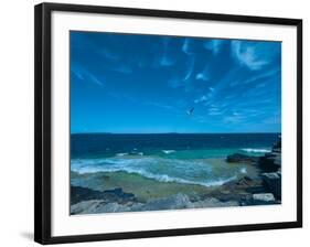 Turquoise Tide-Mike Toy-Framed Giclee Print