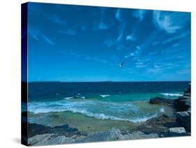 Turquoise Tide-Mike Toy-Stretched Canvas