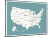 Turquoise USA Map-Kindred Sol Collective-Mounted Art Print