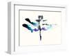 Turquoise & Violet Dragonfly-Karin Johannesson-Framed Art Print