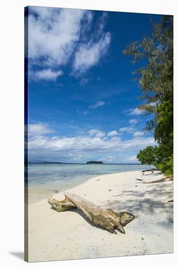 Turquoise water and a white beach on Christmas Island, Buka, Bougainville, Papua New Guinea, Pacifi-Michael Runkel-Stretched Canvas