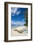 Turquoise water and a white beach on Christmas Island, Buka, Bougainville, Papua New Guinea, Pacifi-Michael Runkel-Framed Photographic Print