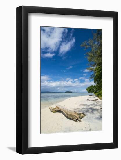 Turquoise water and a white beach on Christmas Island, Buka, Bougainville, Papua New Guinea, Pacifi-Michael Runkel-Framed Photographic Print