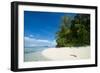 Turquoise water and a white beach on Christmas Island, Buka, Bougainville, Papua New Guinea, Pacifi-Michael Runkel-Framed Photographic Print