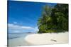 Turquoise water and a white beach on Christmas Island, Buka, Bougainville, Papua New Guinea, Pacifi-Michael Runkel-Stretched Canvas