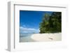 Turquoise water and a white beach on Christmas Island, Buka, Bougainville, Papua New Guinea, Pacifi-Michael Runkel-Framed Photographic Print