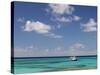 Turquoise Water and Dive Boat, Cockburn Town, Grand Turk Island, Turks and Caicos-Walter Bibikow-Stretched Canvas