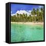 Turquoise Water and Palm Trees Lining Nippah Beach, Indonesia, Southeast Asia, Asia-Matthew Williams-Ellis-Framed Stretched Canvas