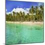 Turquoise Water and Palm Trees Lining Nippah Beach, Indonesia, Southeast Asia, Asia-Matthew Williams-Ellis-Mounted Photographic Print