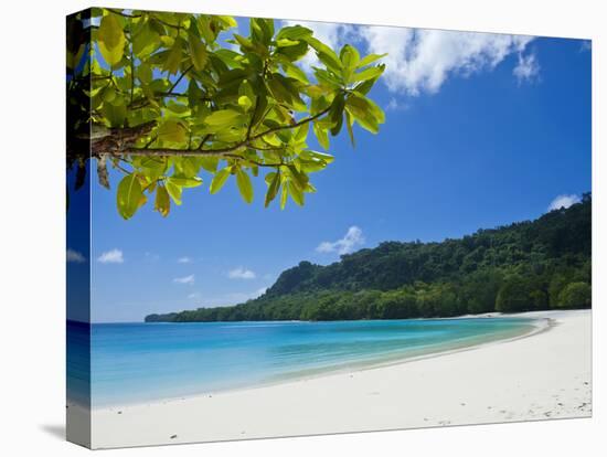 Turquoise Water and White Sand at Champagne Beach, Island of Espiritu Santo, Vanuatu, South Pacific-Michael Runkel-Stretched Canvas