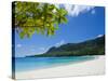 Turquoise Water and White Sand at Champagne Beach, Island of Espiritu Santo, Vanuatu, South Pacific-Michael Runkel-Stretched Canvas