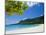 Turquoise Water and White Sand at Champagne Beach, Island of Espiritu Santo, Vanuatu, South Pacific-Michael Runkel-Mounted Photographic Print