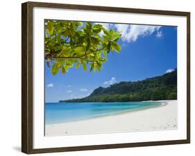 Turquoise Water and White Sand at Champagne Beach, Island of Espiritu Santo, Vanuatu, South Pacific-Michael Runkel-Framed Photographic Print