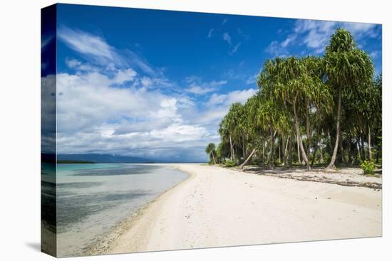 Turquoise water and white sand beach, White Island, Buka, Bougainville, Papua New Guinea, Pacific-Michael Runkel-Stretched Canvas