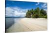 Turquoise water and white sand beach, White Island, Buka, Bougainville, Papua New Guinea, Pacific-Michael Runkel-Stretched Canvas