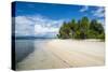 Turquoise water and white sand beach, White Island, Buka, Bougainville, Papua New Guinea, Pacific-Michael Runkel-Stretched Canvas