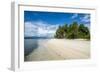 Turquoise water and white sand beach, White Island, Buka, Bougainville, Papua New Guinea, Pacific-Michael Runkel-Framed Photographic Print