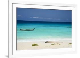 Turquoise Water at the Beach in Shuab Bay on the West Coast of the Island of Socotra-Michael Runkel-Framed Photographic Print