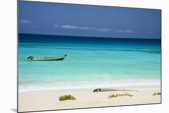 Turquoise Water at the Beach in Shuab Bay on the West Coast of the Island of Socotra-Michael Runkel-Mounted Photographic Print