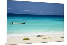 Turquoise Water at the Beach in Shuab Bay on the West Coast of the Island of Socotra-Michael Runkel-Mounted Photographic Print