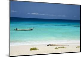 Turquoise Water at the Beach in Shuab Bay on the West Coast of the Island of Socotra-Michael Runkel-Mounted Photographic Print