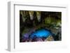 Turquoise water in the Grotto, Christmas island, Australia-Michael Runkel-Framed Photographic Print