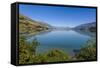 Turquoise Water of Lake Wakatipu, around Queenstown, Otago, South Island, New Zealand, Pacific-Michael Runkel-Framed Stretched Canvas