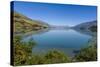 Turquoise Water of Lake Wakatipu, around Queenstown, Otago, South Island, New Zealand, Pacific-Michael Runkel-Stretched Canvas