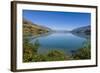 Turquoise Water of Lake Wakatipu, around Queenstown, Otago, South Island, New Zealand, Pacific-Michael Runkel-Framed Photographic Print