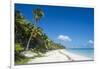 Turquoise waters and white sand beach, Ouvea, Loyalty Islands, New Caledonia, Pacific-Michael Runkel-Framed Photographic Print