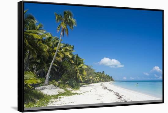 Turquoise waters and white sand beach, Ouvea, Loyalty Islands, New Caledonia, Pacific-Michael Runkel-Framed Stretched Canvas