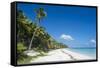 Turquoise waters and white sand beach, Ouvea, Loyalty Islands, New Caledonia, Pacific-Michael Runkel-Framed Stretched Canvas