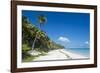 Turquoise waters and white sand beach, Ouvea, Loyalty Islands, New Caledonia, Pacific-Michael Runkel-Framed Photographic Print