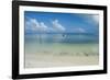 Turquoise waters and white sand beach, Ouvea, Loyalty Islands, New Caledonia, Pacific-Michael Runkel-Framed Photographic Print