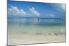 Turquoise waters and white sand beach, Ouvea, Loyalty Islands, New Caledonia, Pacific-Michael Runkel-Mounted Photographic Print