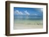 Turquoise waters and white sand beach, Ouvea, Loyalty Islands, New Caledonia, Pacific-Michael Runkel-Framed Photographic Print