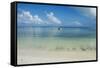 Turquoise waters and white sand beach, Ouvea, Loyalty Islands, New Caledonia, Pacific-Michael Runkel-Framed Stretched Canvas