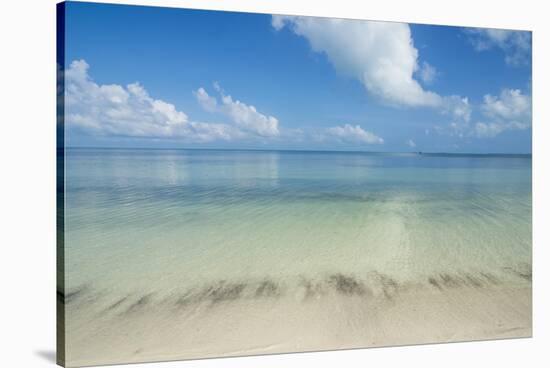 Turquoise waters and white sand beach, Ouvea, Loyalty Islands, New Caledonia, Pacific-Michael Runkel-Stretched Canvas