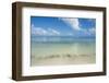 Turquoise waters and white sand beach, Ouvea, Loyalty Islands, New Caledonia, Pacific-Michael Runkel-Framed Photographic Print