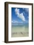 Turquoise waters and white sand beach, Ouvea, Loyalty Islands, New Caledonia, Pacific-Michael Runkel-Framed Photographic Print