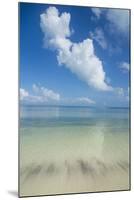 Turquoise waters and white sand beach, Ouvea, Loyalty Islands, New Caledonia, Pacific-Michael Runkel-Mounted Photographic Print