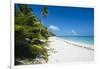 Turquoise waters and white sand beach, Ouvea, Loyalty Islands, New Caledonia, Pacific-Michael Runkel-Framed Photographic Print