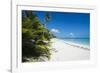 Turquoise waters and white sand beach, Ouvea, Loyalty Islands, New Caledonia, Pacific-Michael Runkel-Framed Photographic Print