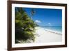 Turquoise waters and white sand beach, Ouvea, Loyalty Islands, New Caledonia, Pacific-Michael Runkel-Framed Photographic Print