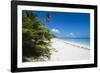 Turquoise waters and white sand beach, Ouvea, Loyalty Islands, New Caledonia, Pacific-Michael Runkel-Framed Photographic Print