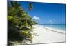Turquoise waters and white sand beach, Ouvea, Loyalty Islands, New Caledonia, Pacific-Michael Runkel-Mounted Photographic Print