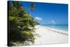 Turquoise waters and white sand beach, Ouvea, Loyalty Islands, New Caledonia, Pacific-Michael Runkel-Stretched Canvas